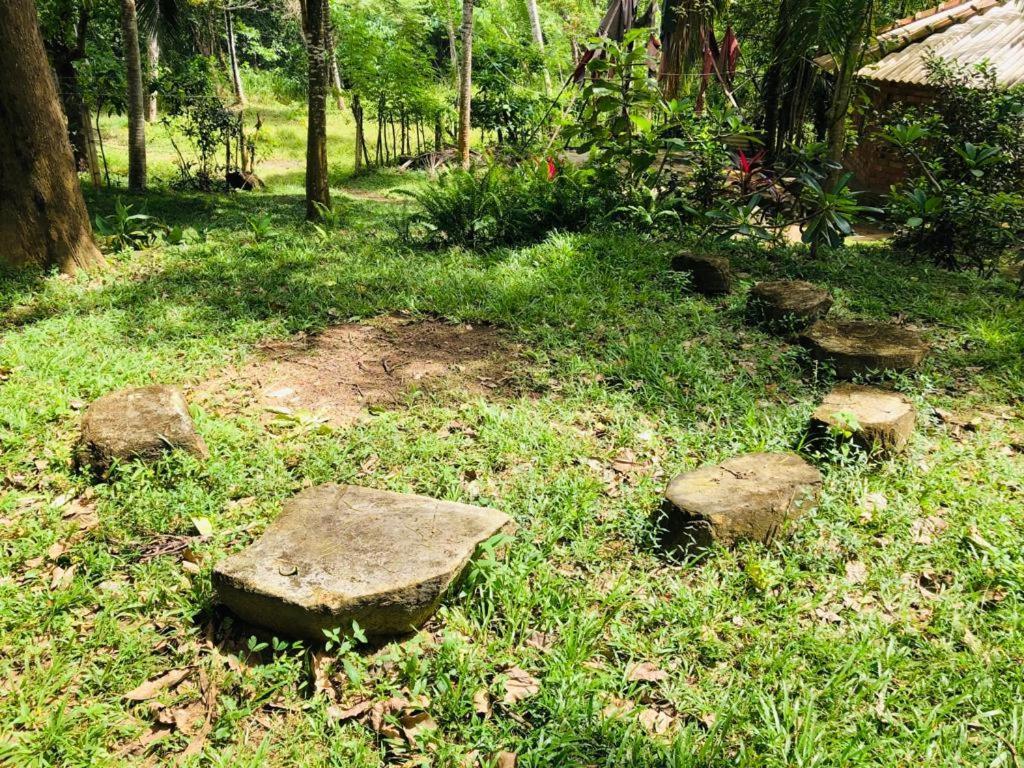 بيت شباب Hidden Well Hiriketiya ديكويلاّ تين المظهر الخارجي الصورة